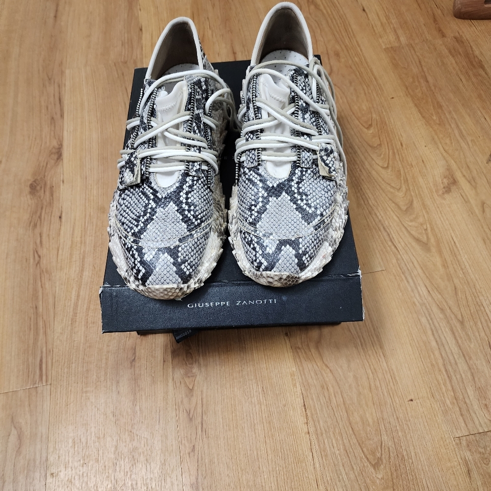 Giuseppe Zanetti urchin Kittanning roccia
